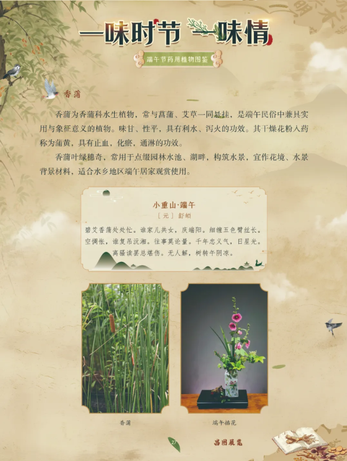 image.png?v=1782174181266