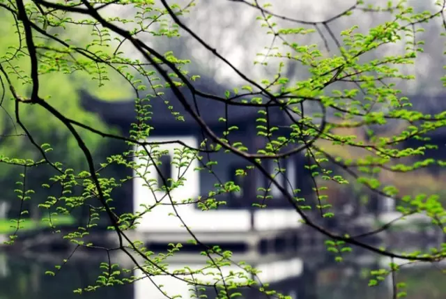 20180117205818_8avxs8f03f 20180117205818_8avxs8f03f.png?v=1769798603138