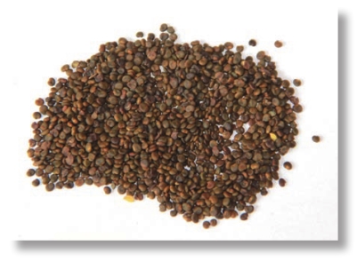 pagenumber_ebook=268,pagenumber_book=255