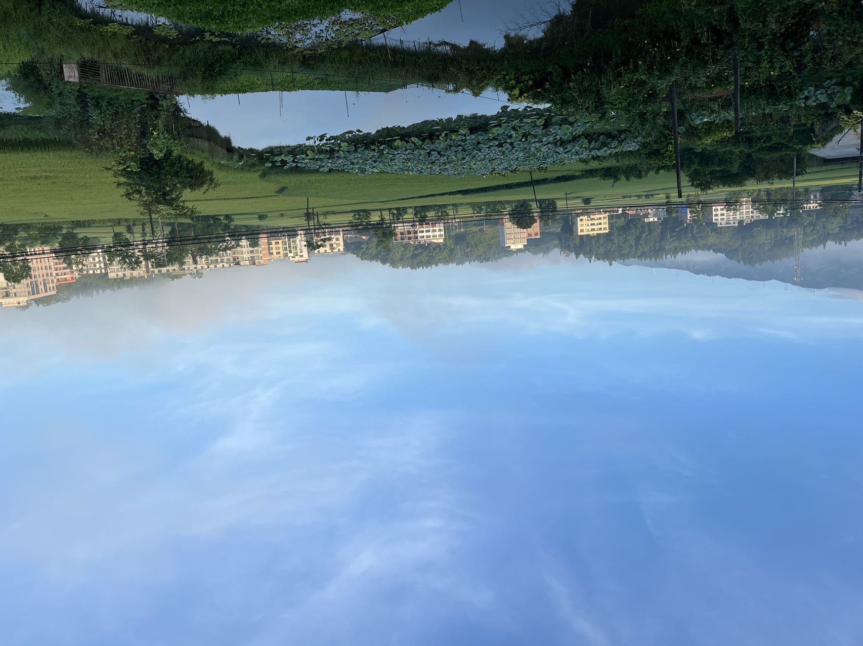 image007 image007.jpg