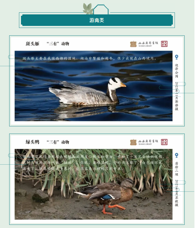 image.png?v=1757830673198
