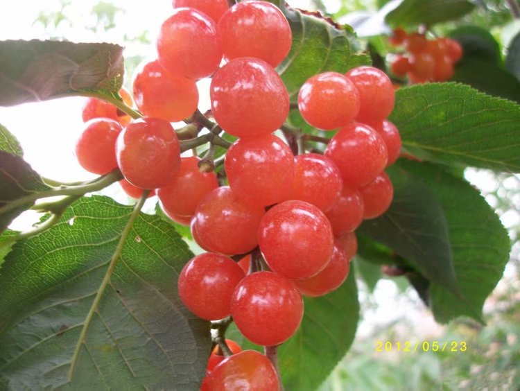 19 19.jpg?v=1762818217888