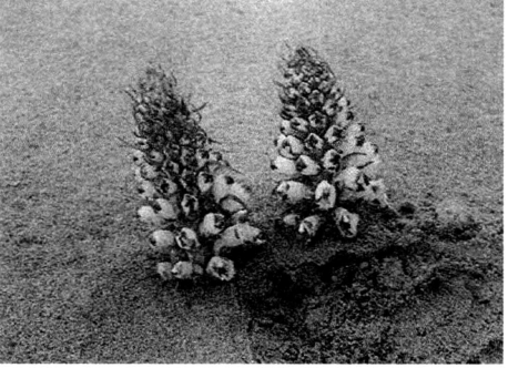 pagenumber_ebook=112,pagenumber_book=112