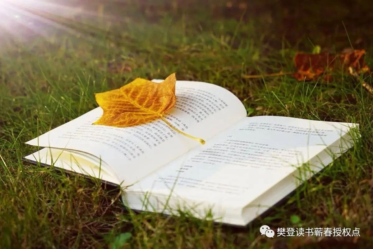 9c66d1fba7d89a4686a8e59a6140f4e2 9c66d1fba7d89a4686a8e59a6140f4e2