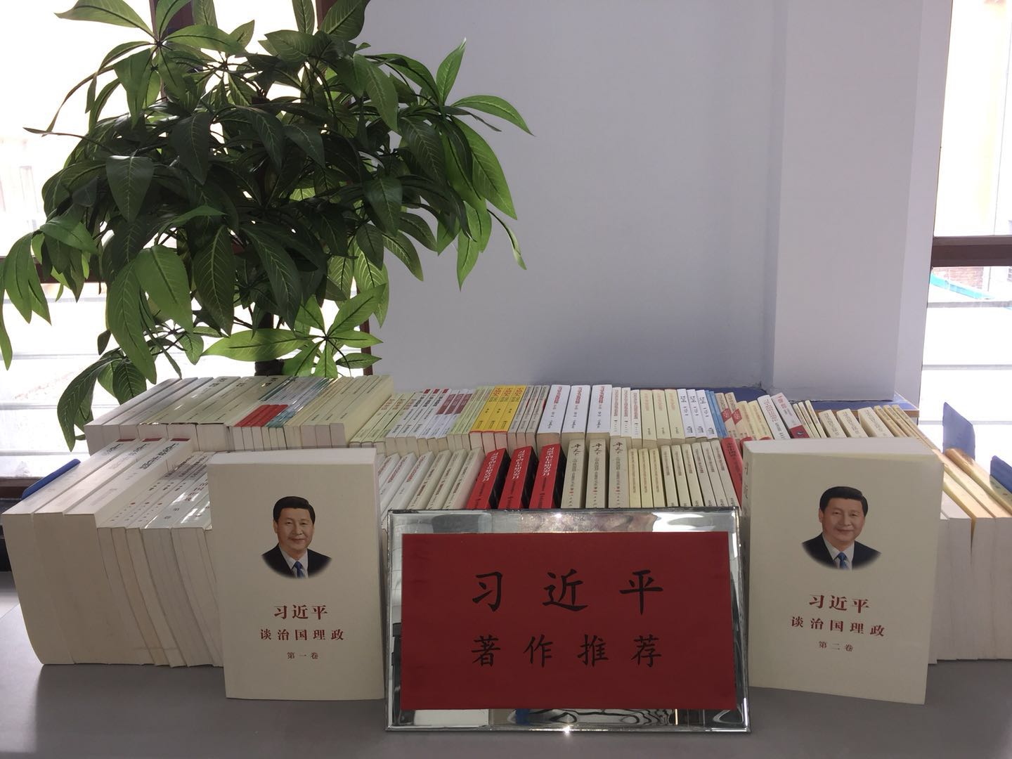 415383569976737836 415383569976737836.jpg?v=1764963803704