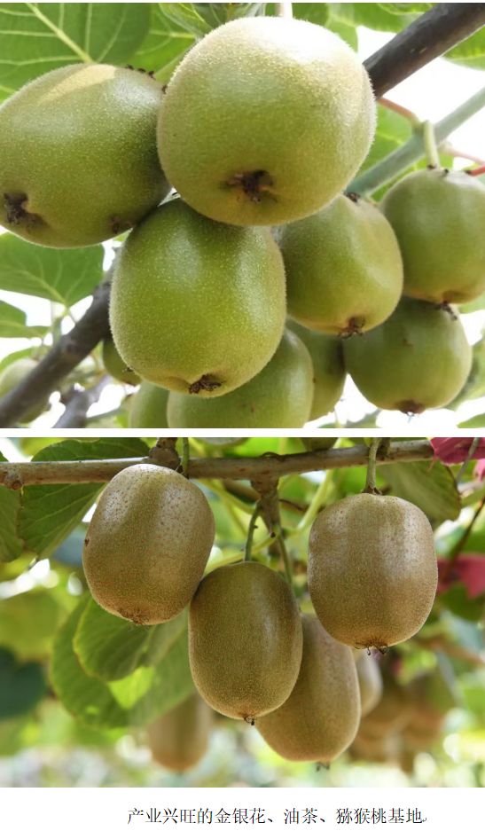 1732264249215 1732264249215.png