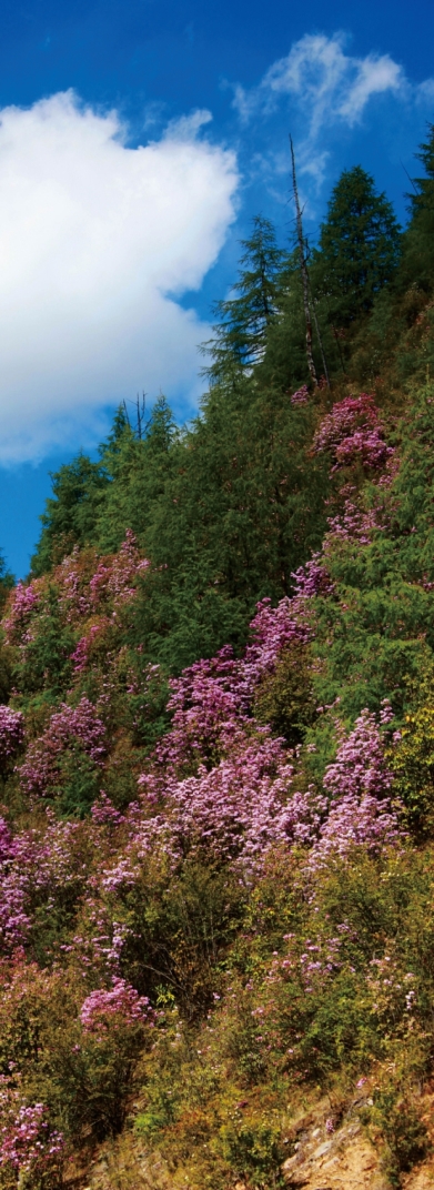 pagenumber_ebook=80,pagenumber_book=68