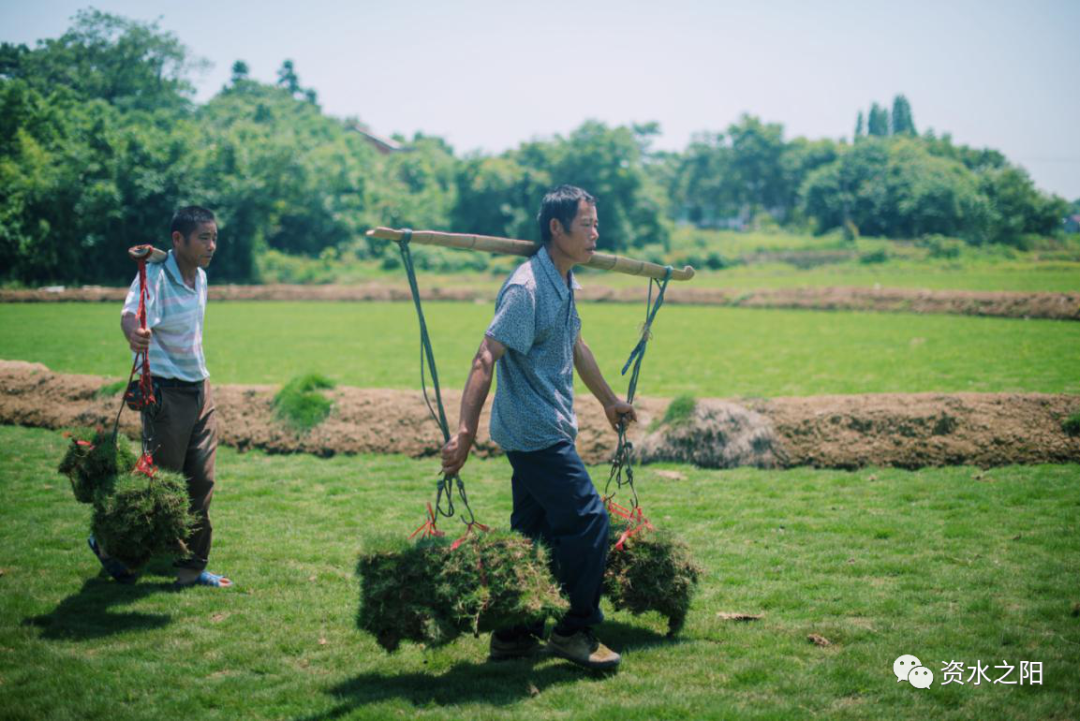 12 12.png?v=1765880647888