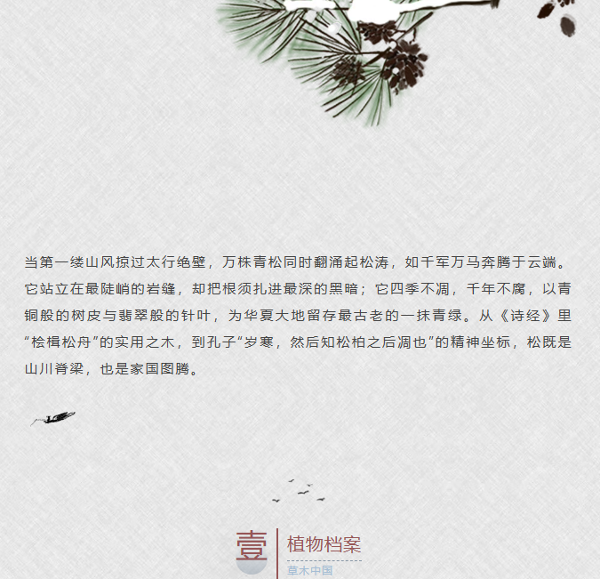 image.png?v=1762099906174