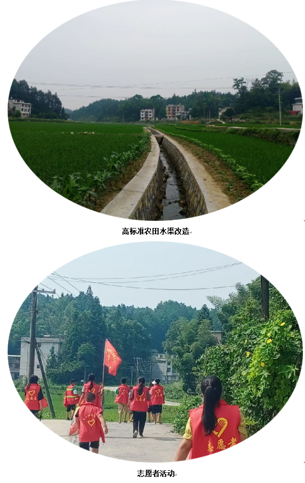 1732354047974 1732354047974.png