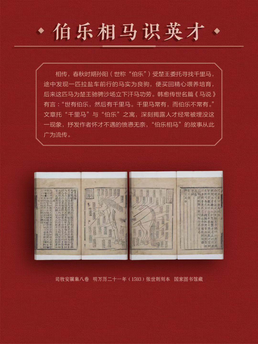 6f9a14abefd2f5d5553b533c5bc5ca13.jpg?v=1774428987613