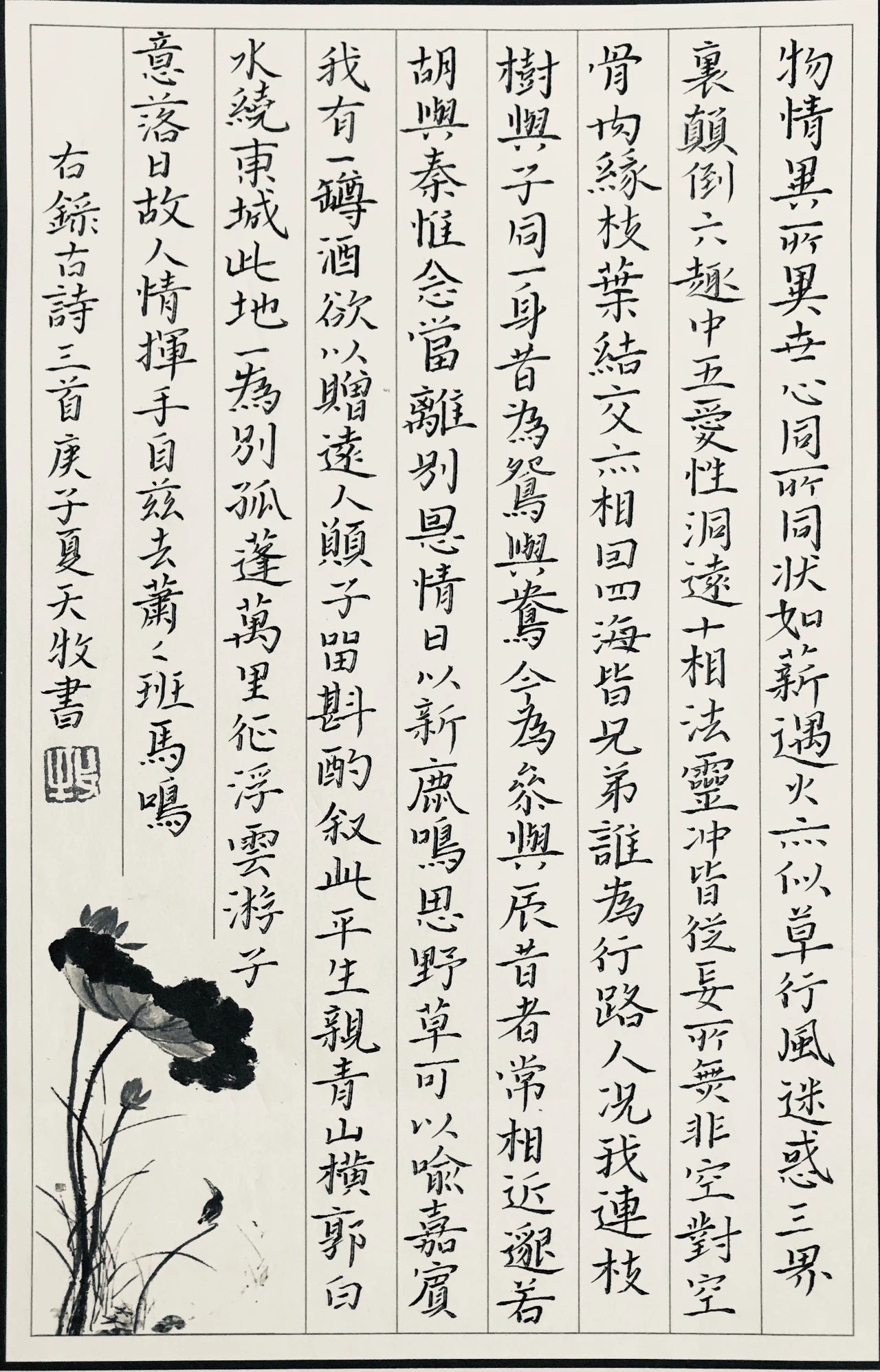 11