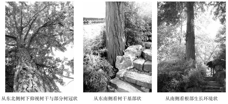 pagenumber_ebook=94,pagenumber_book=94