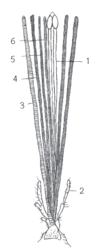 pagenumber_ebook=122,pagenumber_book=106