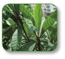 pagenumber_ebook=222,pagenumber_book=209