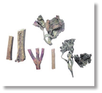 pagenumber_ebook=105,pagenumber_book=92