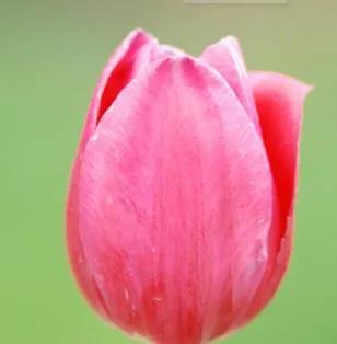 微信图片_20210329153323 微信图片_20210329153323.jpg