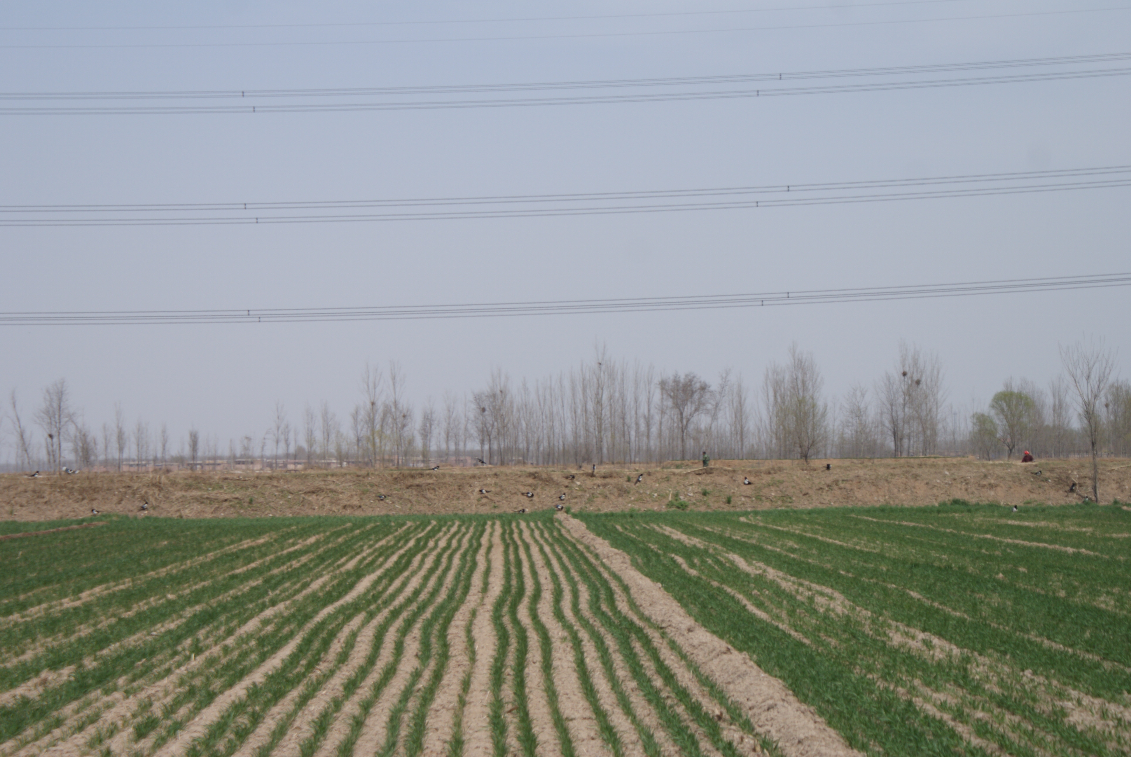 DSC05133 DSC05133.jpg