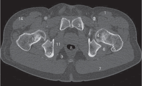 pagenumber_ebook=94,pagenumber_book=85