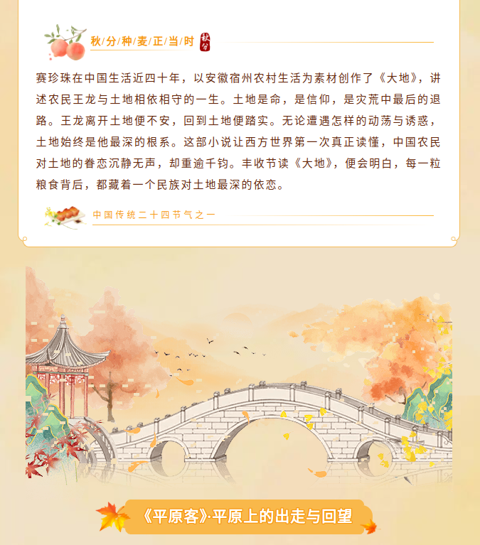 image.png?v=1790294193330