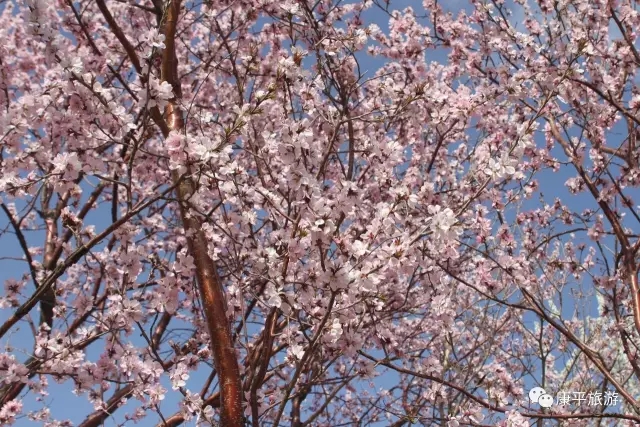 640.webp 640.webp.jpg