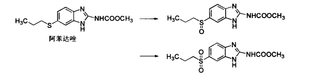 pagenumber_ebook=564,pagenumber_book=546