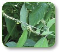 pagenumber_ebook=186,pagenumber_book=173