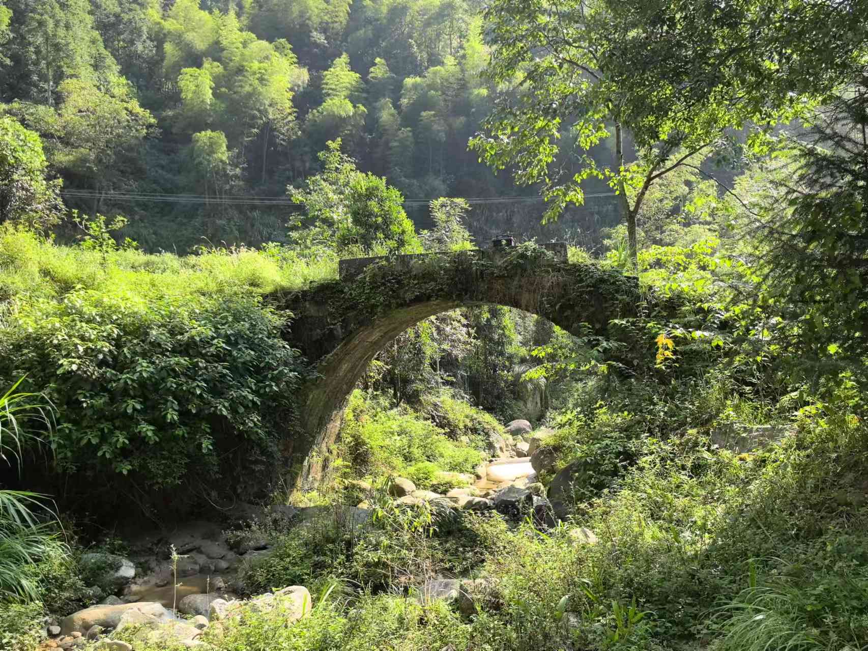 微信图片_20241209221150