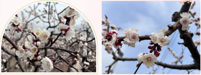 bcb3b820db9859e98919fc6479dae979 bcb3b820db9859e98919fc6479dae979png