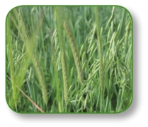 pagenumber_ebook=150,pagenumber_book=137