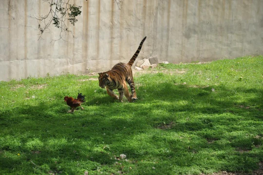 微信图片_20210428155030