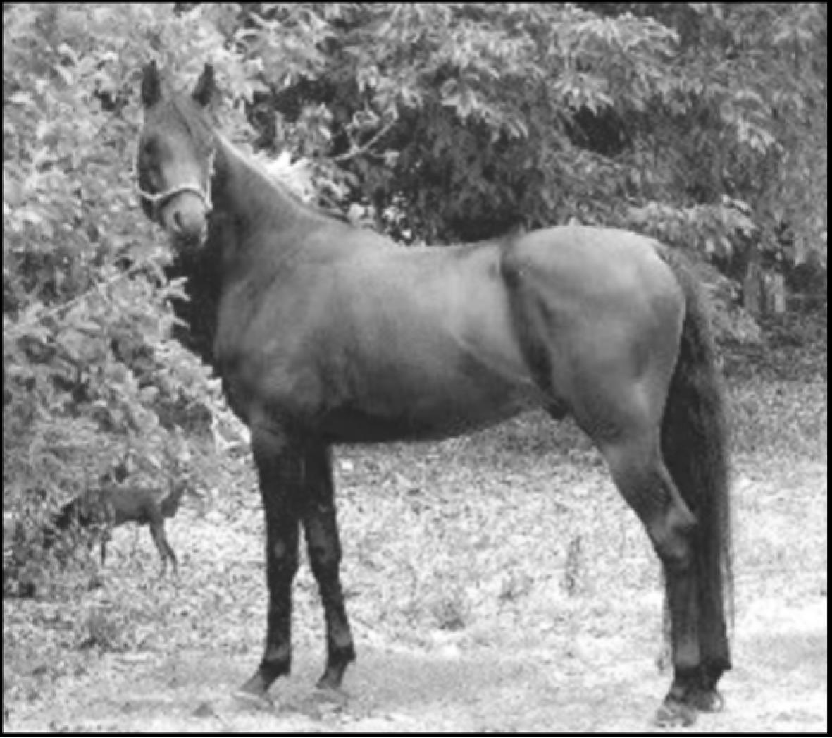 pagenumber_ebook=158,pagenumber_book=150