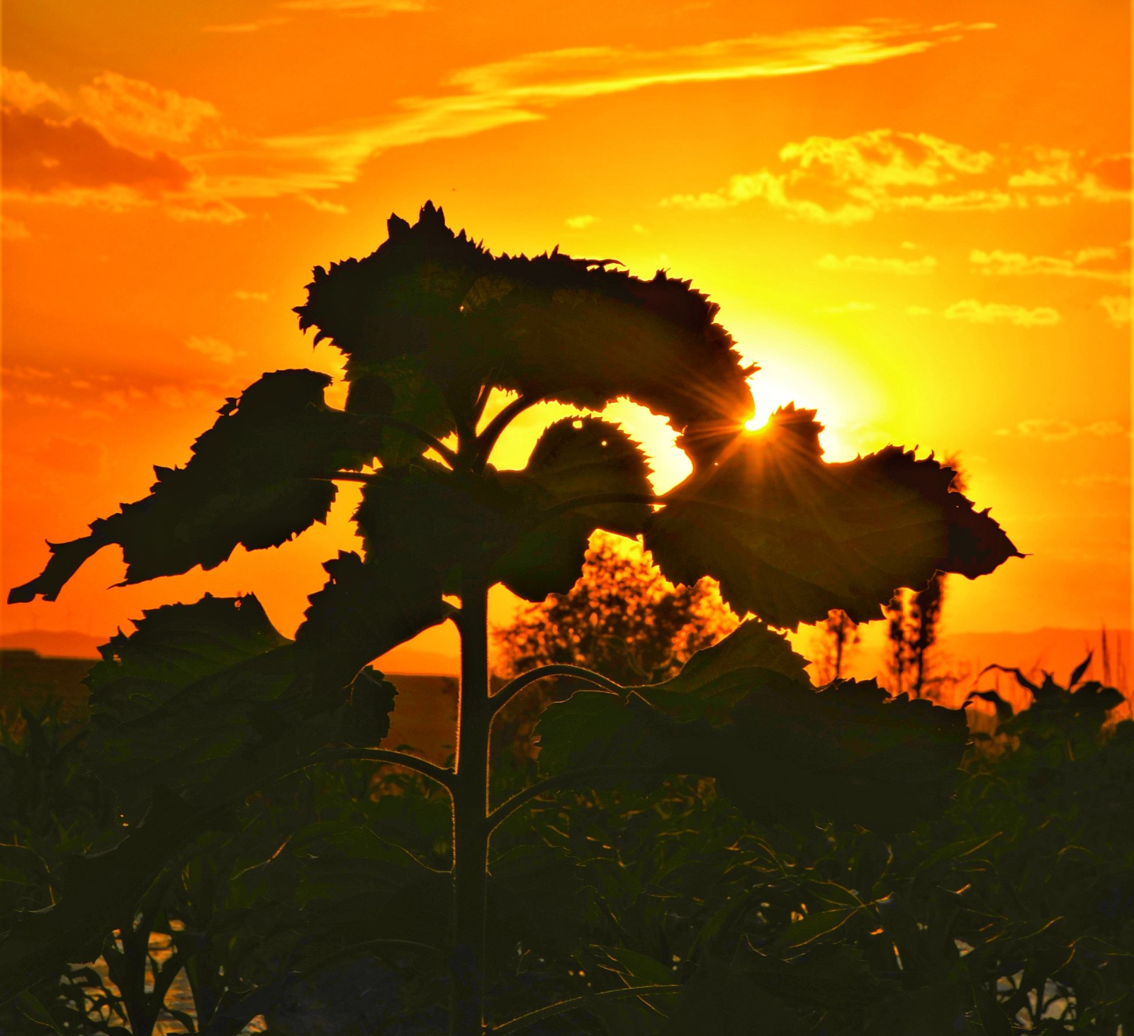 微信图片_20211130100910