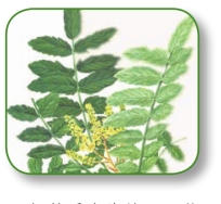 pagenumber_ebook=179,pagenumber_book=166