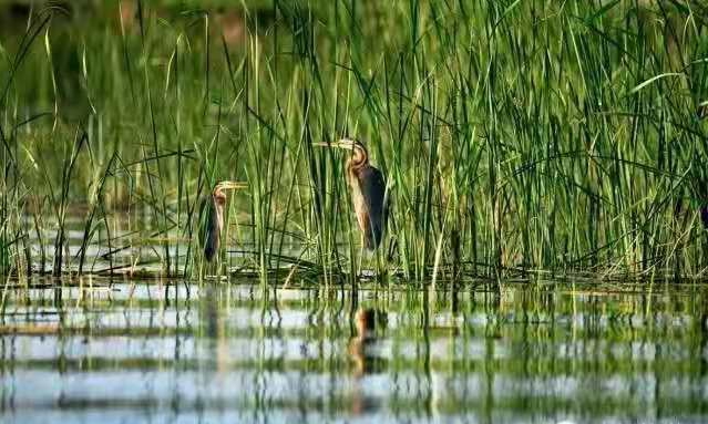 f4ad5e2a8308b4bc363eed82bfedf91 f4ad5e2a8308b4bc363eed82bfedf91.jpg