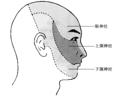 pagenumber_ebook=90,pagenumber_book=81