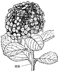 pagenumber_ebook=157,pagenumber_book=157