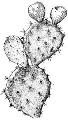 pagenumber_ebook=232,pagenumber_book=232