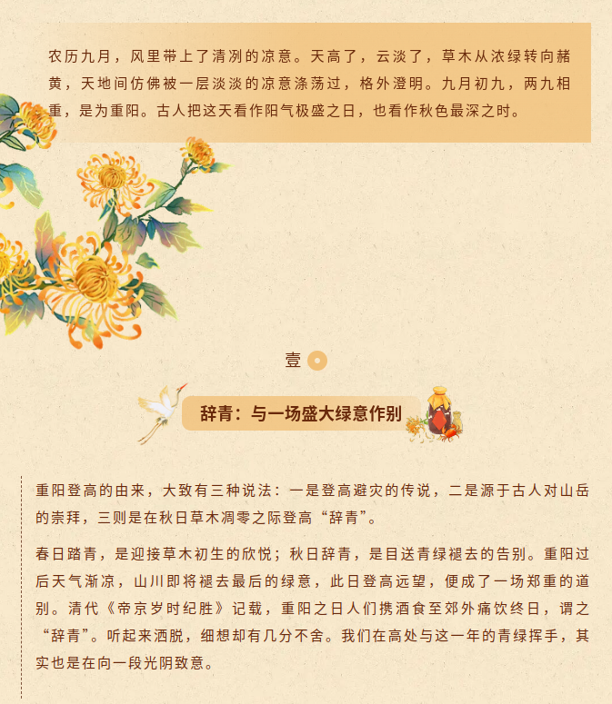 image.png?v=1792103996172