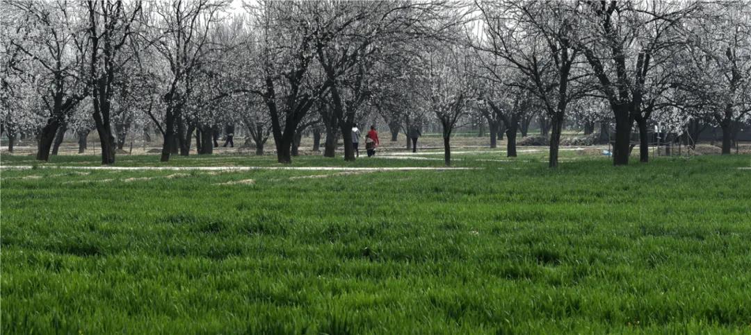 微信图片_20210318082901