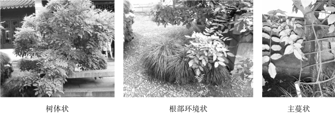 pagenumber_ebook=138,pagenumber_book=138