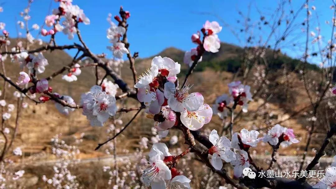 微信图片_20210404214043 微信图片_20210404214043.jpg