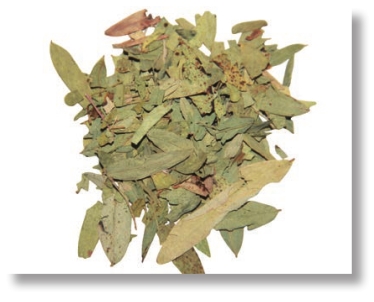 pagenumber_ebook=84,pagenumber_book=71