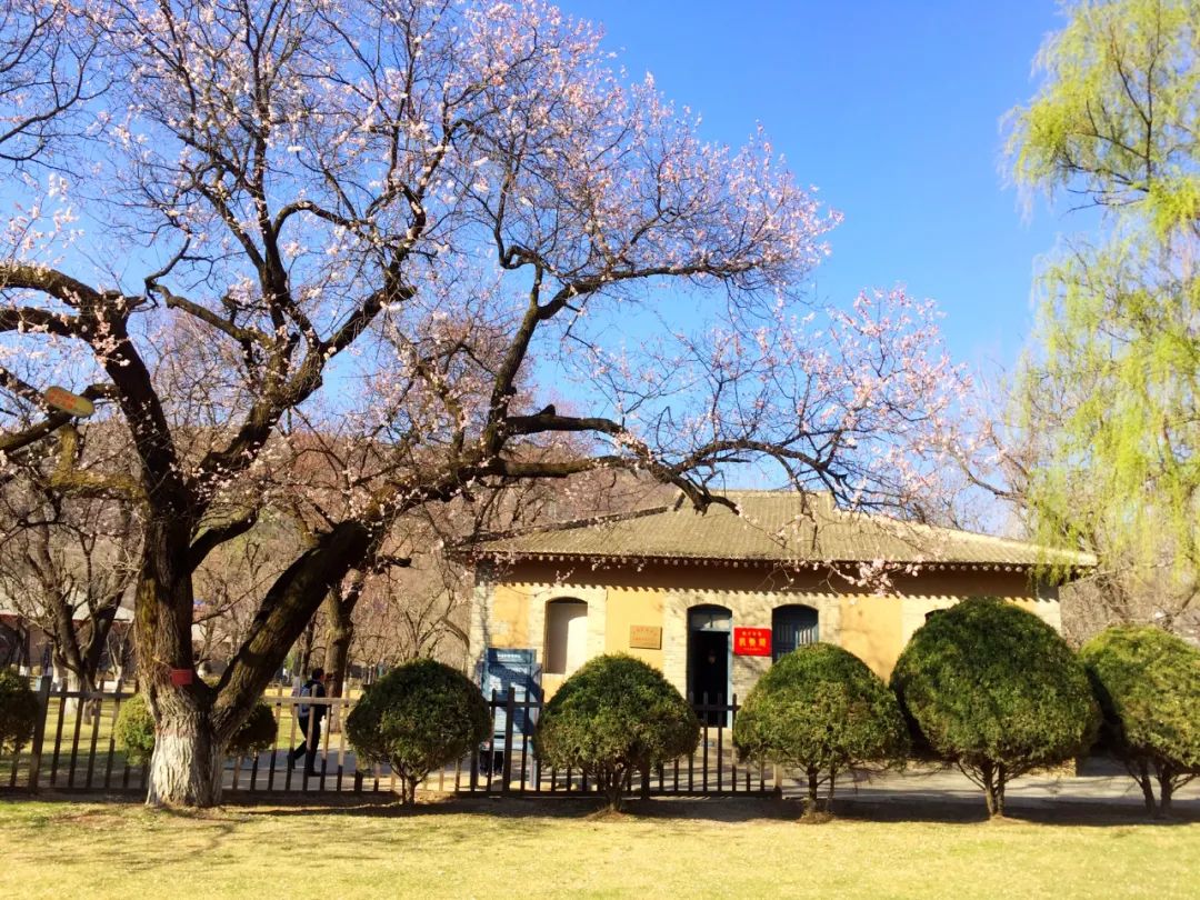 微信图片_20221107100049