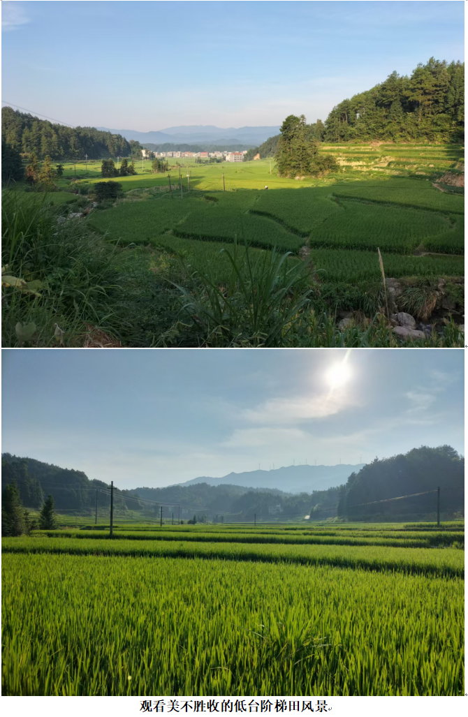 1732337243219 1732337243219.png