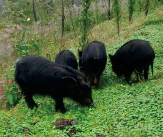 pagenumber_ebook=124,pagenumber_book=112