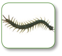 pagenumber_ebook=244,pagenumber_book=231