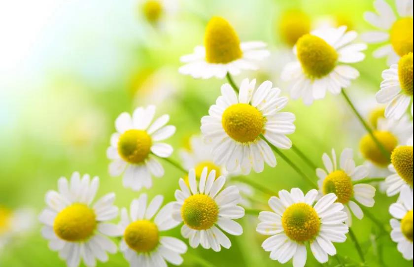 微信图片_20211207094827 微信图片_20211207094827.jpg