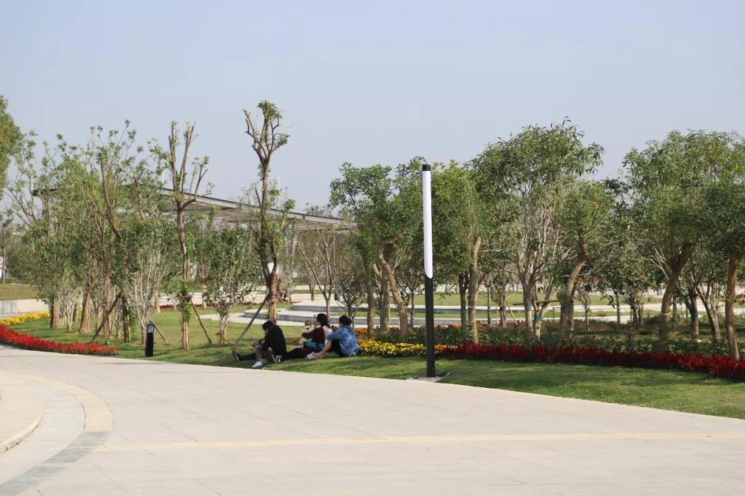 微信图片_20200713201528