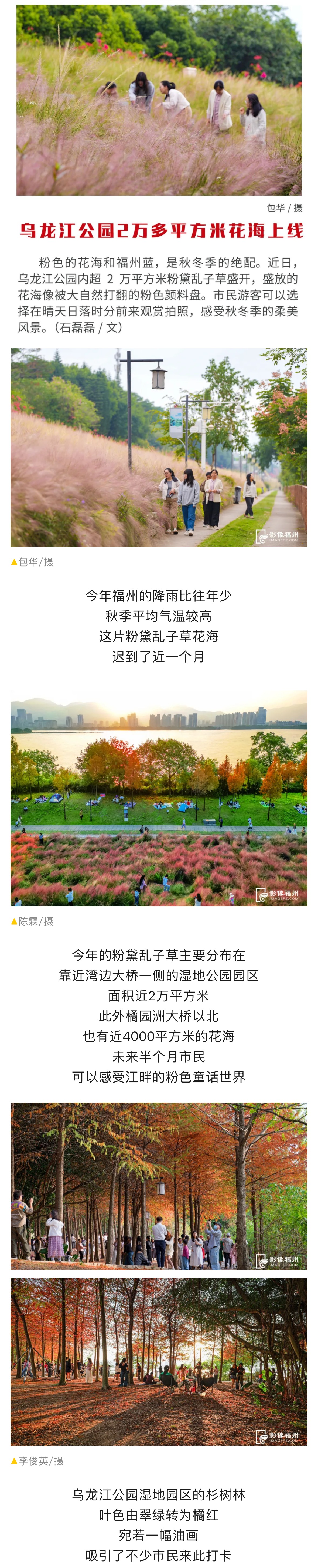 20251121【资讯】满屏粉红！福州美成童话！2jpg